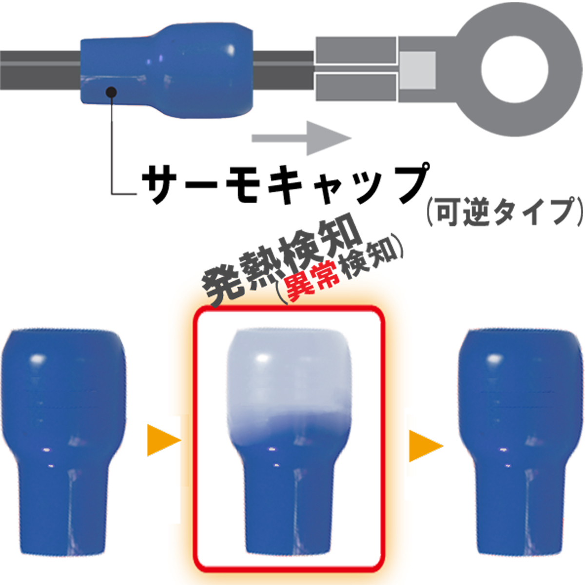 【JAPPY】 サーモキャップ  MTC-100-BLUE